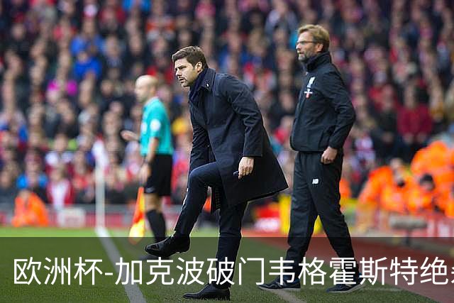 欧洲杯-加克波破门韦格霍斯特绝杀 荷兰2-1波兰